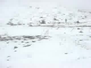 Изроди На Хижа Рай