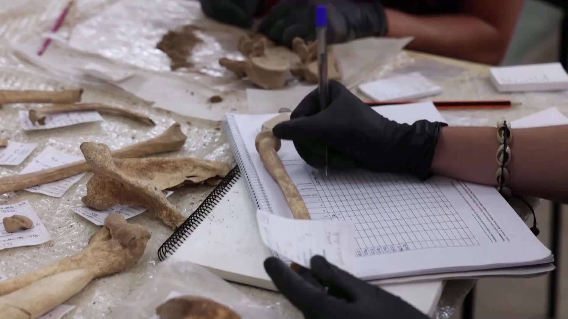 Мистерия на Канарските острови: Откриха шест скелета, погребани в пещера