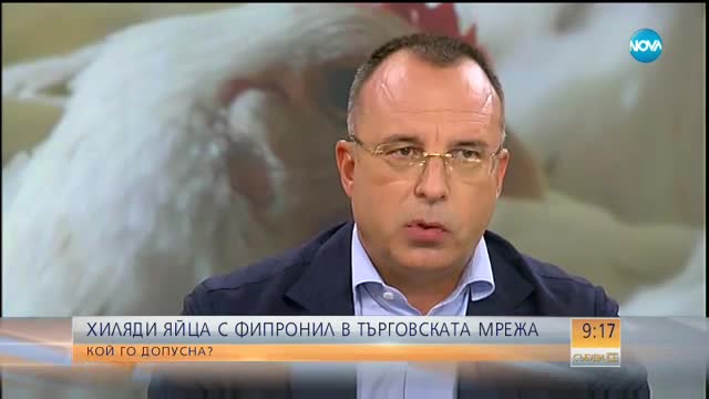 Все още не е яснено как фипронилът е проникнал в яйцата