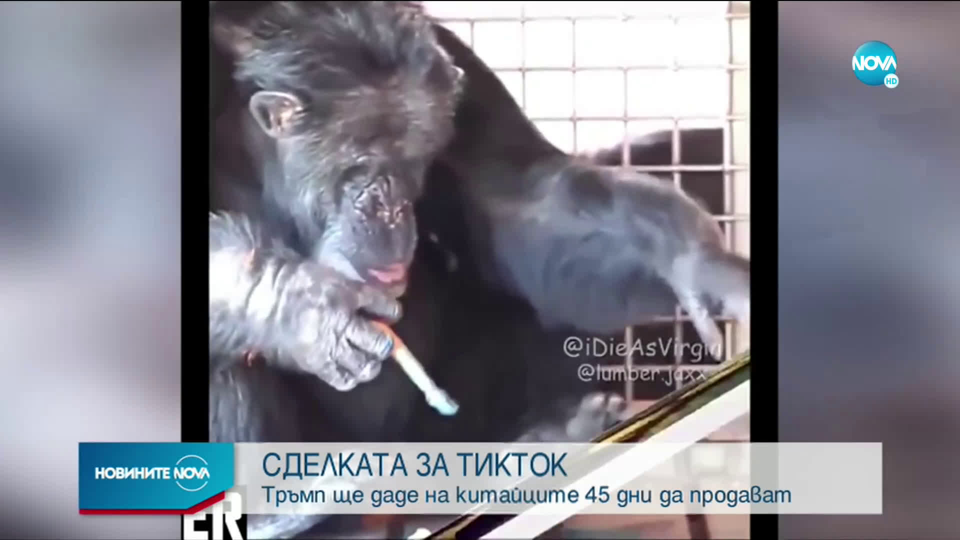 Доналд Тръмп ще даде ултиматум на хитовото приложение Tik Tok