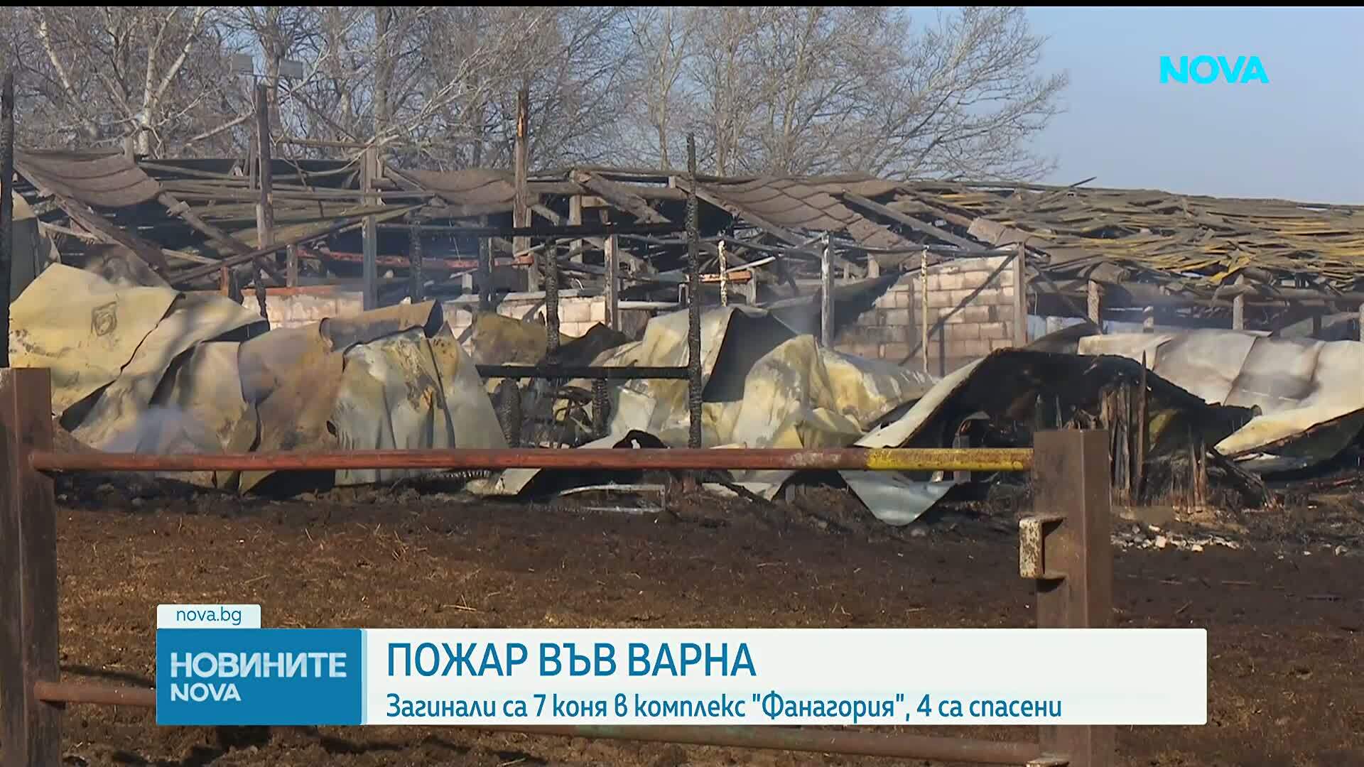 Коне загинаха при пожар в база във Варна
