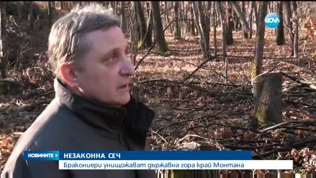 Новините на Нова (23.12.2015 - обедна)