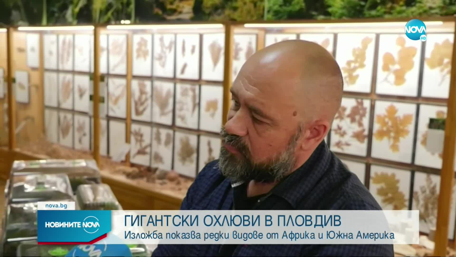Екзотична изложба на гигантски охлюви отвори врати в Пловдив