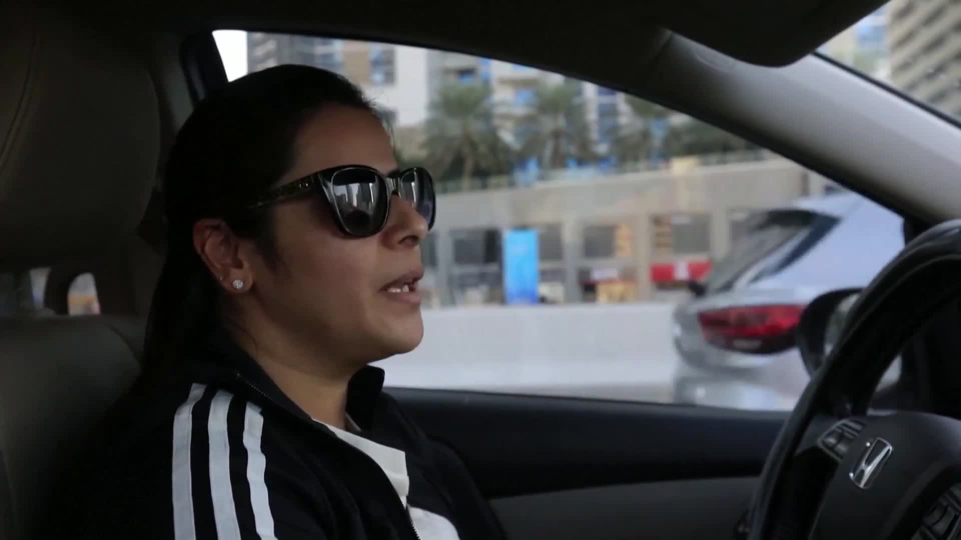 Таксиметрова компания в Дубай предлага специален превоз за домашни любимци (ВИДЕО)