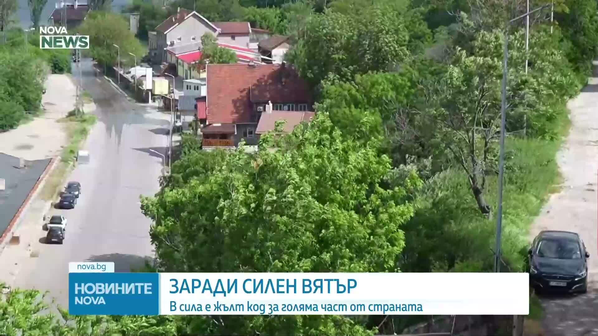 Силният вятър събори дървета и клони в Русе