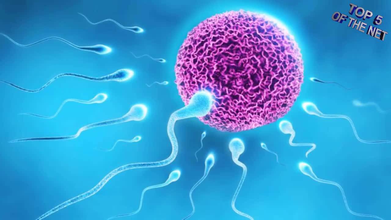 5 неща, които влияят вредно на сперматозоидите в мъжа и намаляват техния брой!