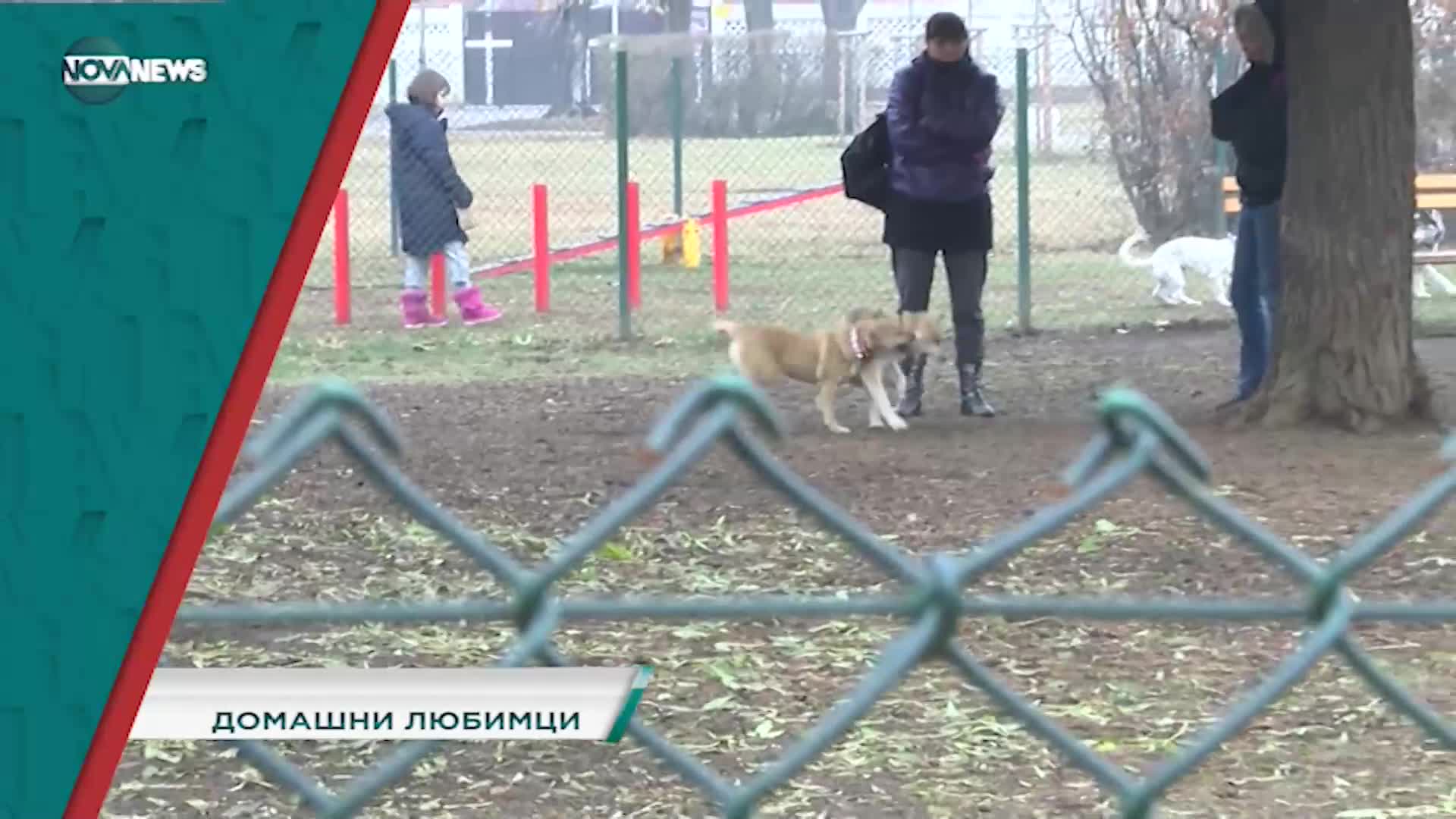В "Социална мрежа" на 4 ноември от 15:20 ч. ще видите