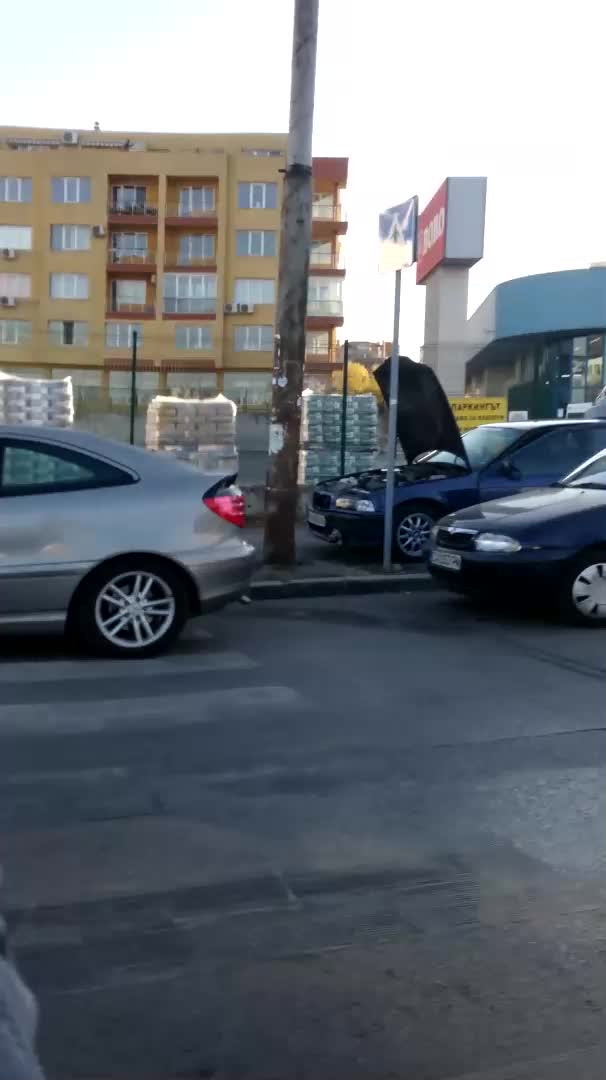 Паркиране на пешеходна пътека