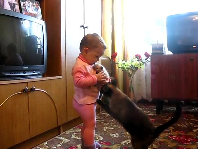 Котка взема малкото си от дете , Дай си ми бебето! Смях