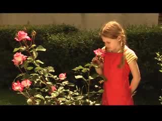 Кратък Български Филм - Луизет