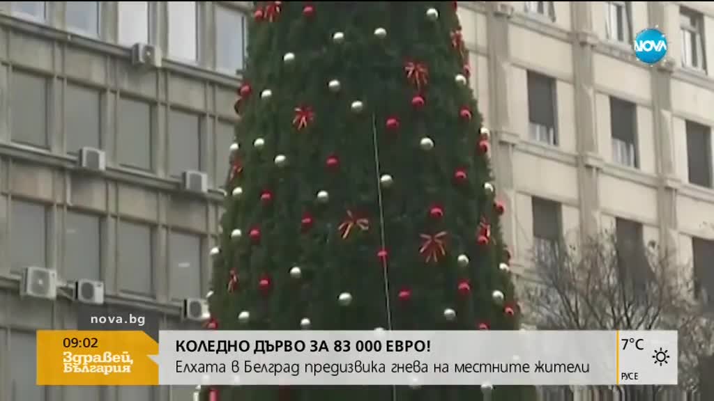 Елха за 83 000 евро възмути жителите на Белград