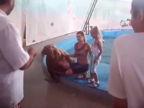 Морж пляска яка мацка по дупето