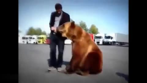 Ето какво е научл мечока Тима от руските тираджии