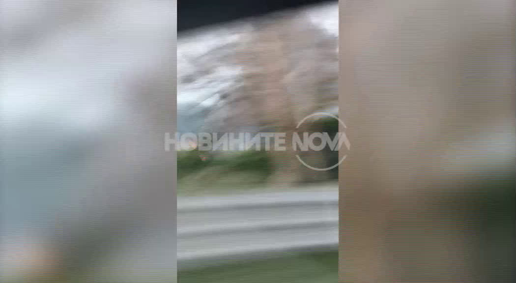 Пожар в Горни Лозен