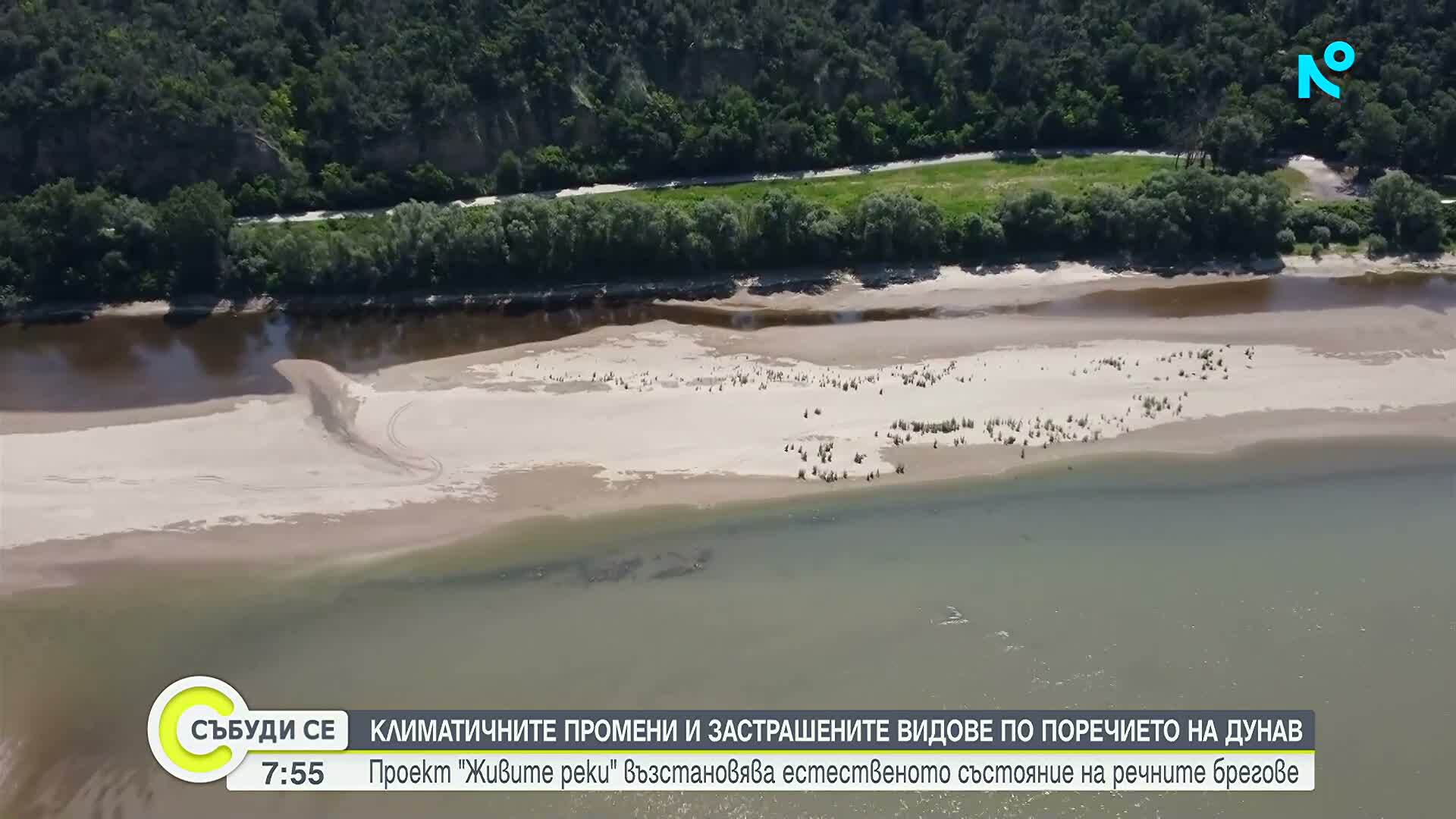 Изграждат дъждовни градини по река Дунав за спасяване на защитени видове