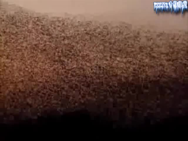 BBC  Video Planet Earth