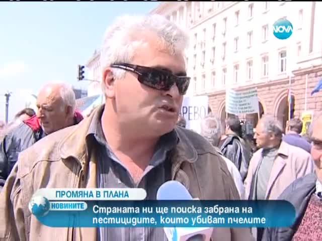 България иска забрана на пестицидите, които убиват пчелите