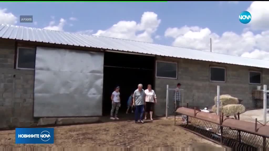БСП поиска прокуратурата да се заеме с Агенцията по храните