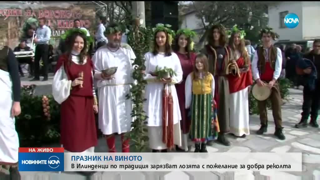 ПРАЗНИК НА ВИНОТО: В Илинденци по традиция зарязват лозята с пожелание за добра реколта