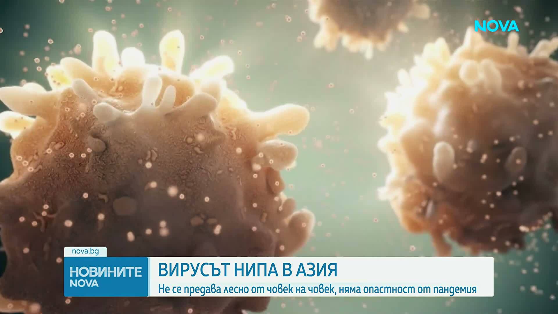 Пикът на грипа и вируса Нипа