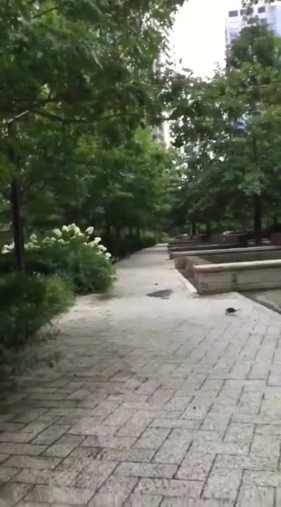 Понякога природата може да бъде прекалено жестока!