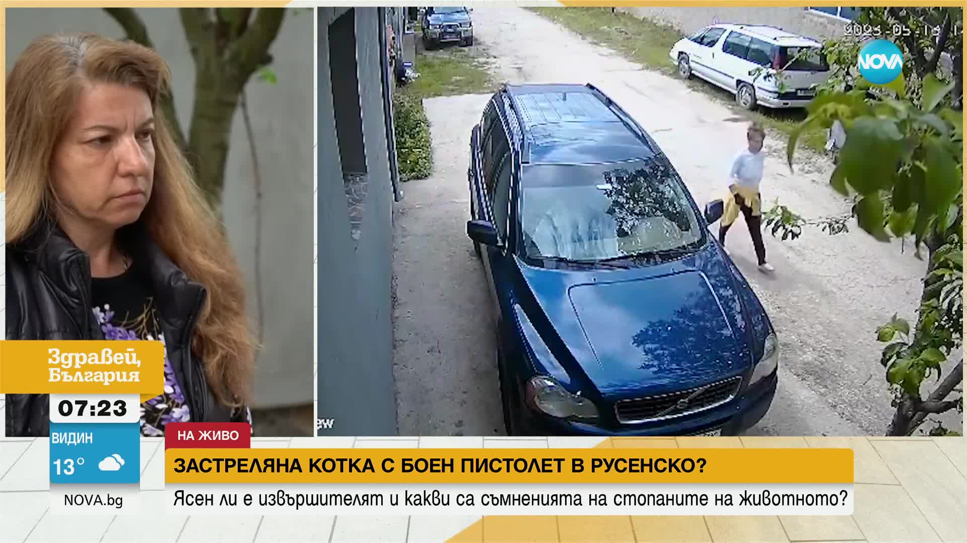 ОТНОВО НАСИЛИЕ НАД ЖИВОТНО: Застреляха домашна котка в Тетово