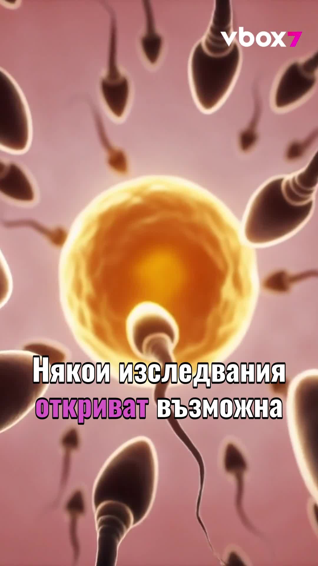 Телефонът в джоба намалява ли тестостерона?📱