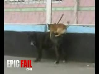 Малък, но с големи мераци 