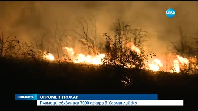 Новините на NOVA (05.09.2016 - обедна емисия)