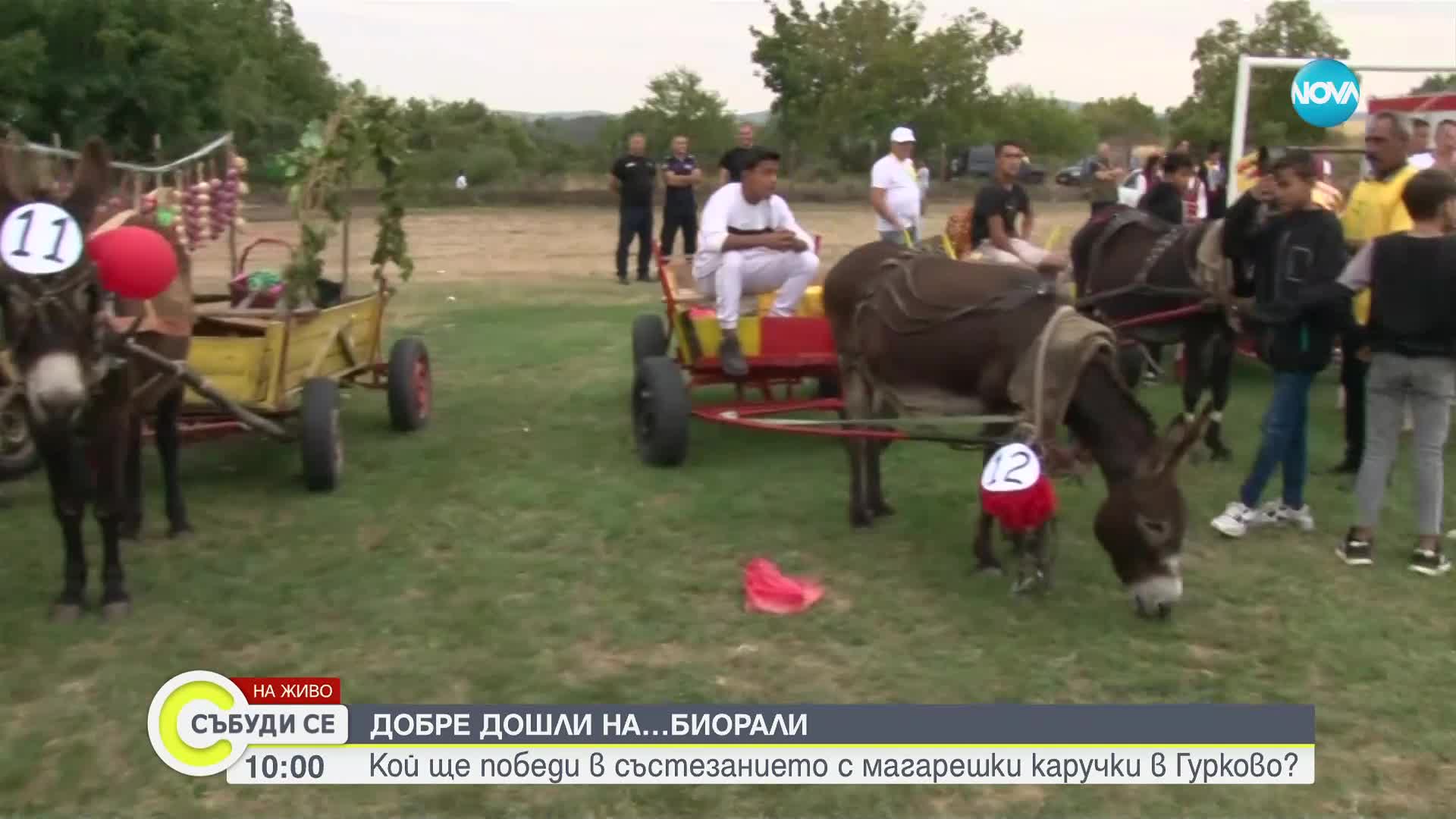 Биорали с магарешки каручки в Гурково