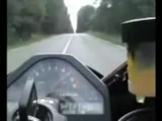 Honda CBR 1000 RR Fireblade - 300 Km/h