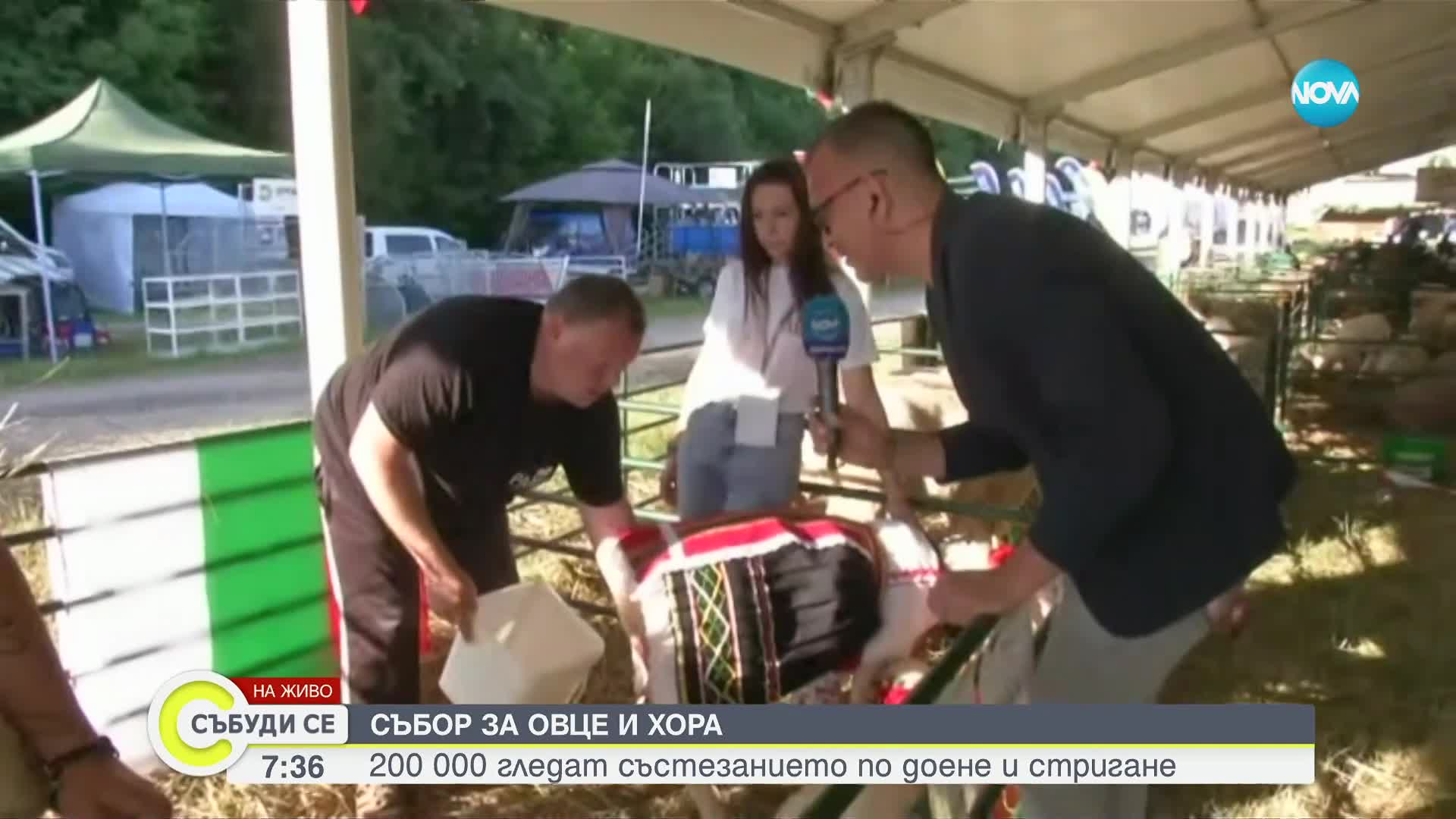 Стригане на овце и рязане на суджук - най-атрактивните състезания на уникален събор у нас