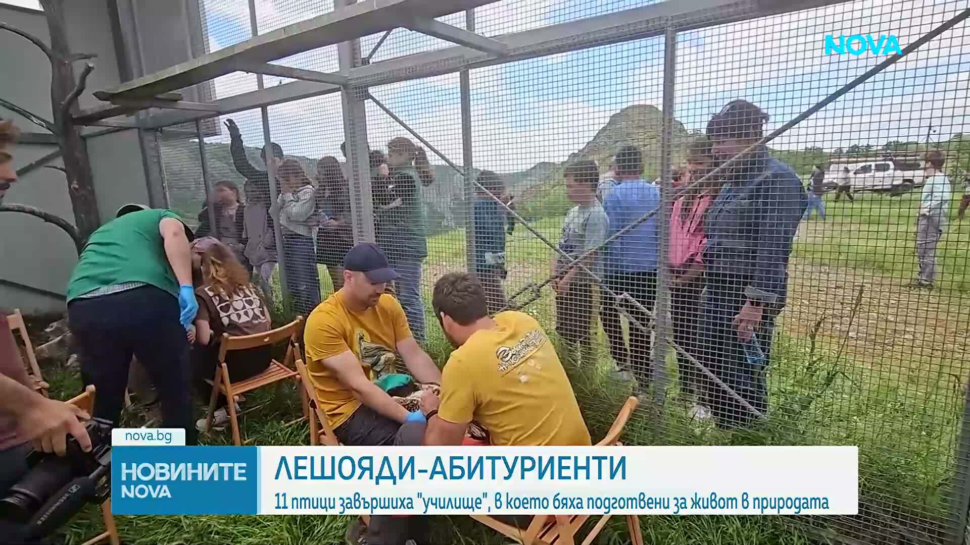 11 млади египетски лешояда завършиха „училище за лешояди“ край Кърджали