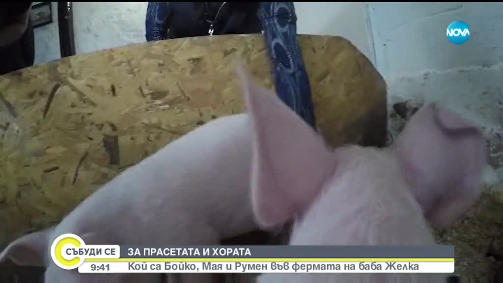 Баба кръщава животните си на български политици