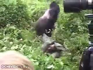 Горила добре че бързо си поправи грешката , а за оператора си е чист късмет !