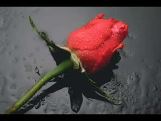 Gamena - Всичко От Което Се Нуждая