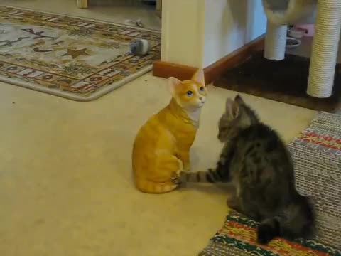 Коте се бие с порцеланово коте