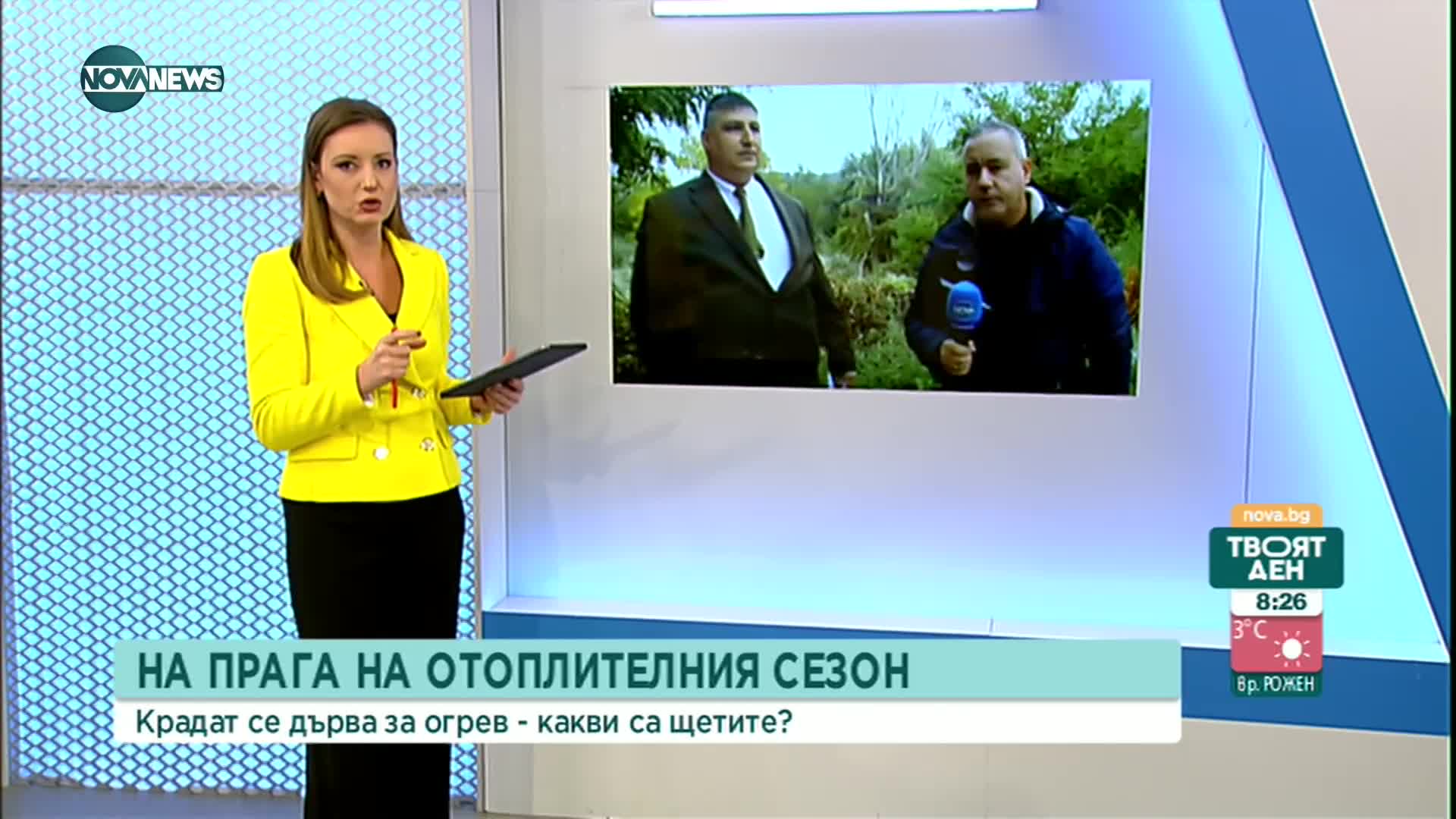 Рязко се увеличи незаконният добив на дървесина