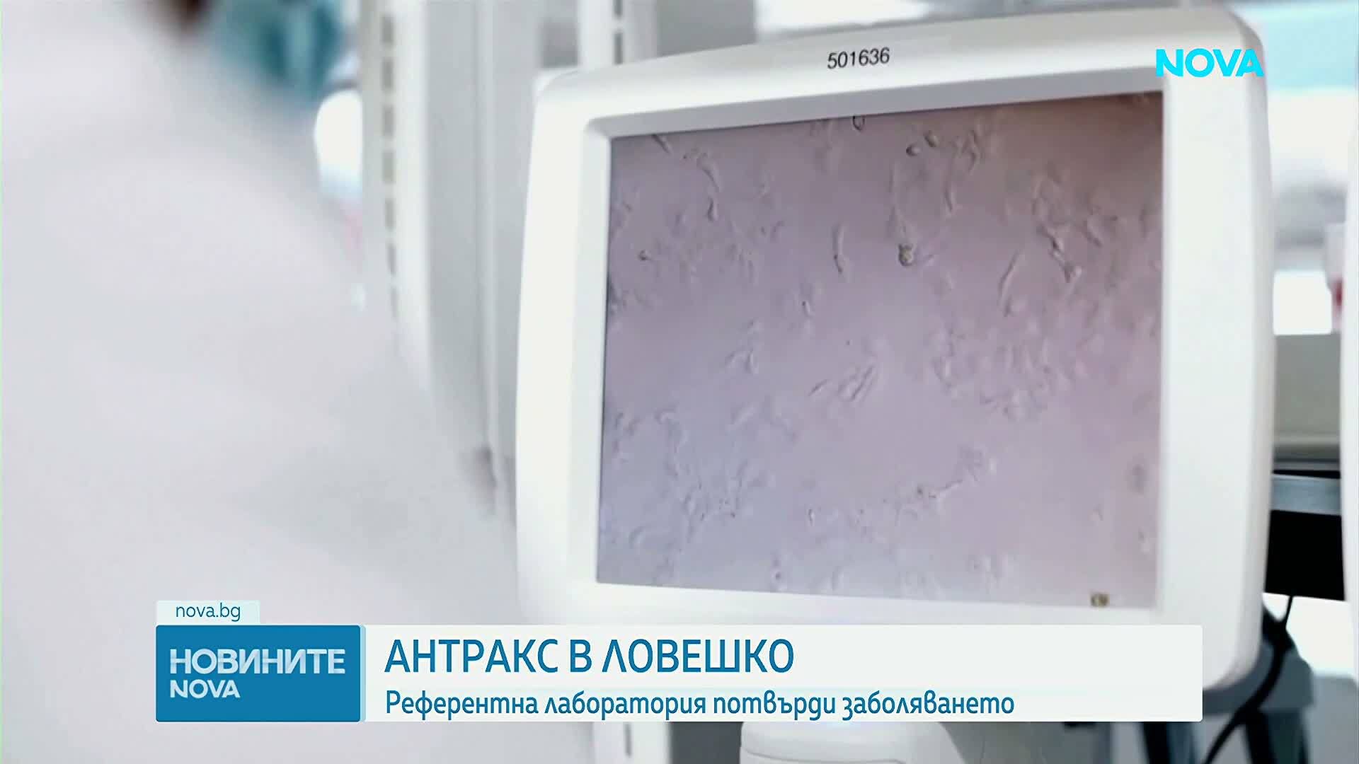 Потвърдиха огнище на антракс в Ловешко
