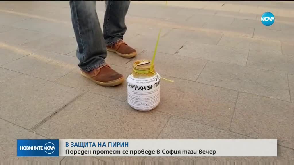 В ЗАЩИТА НА ПИРИН: Пореден протест се проведе в София
