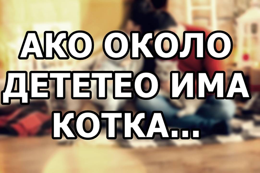 Ако около детето има котка...