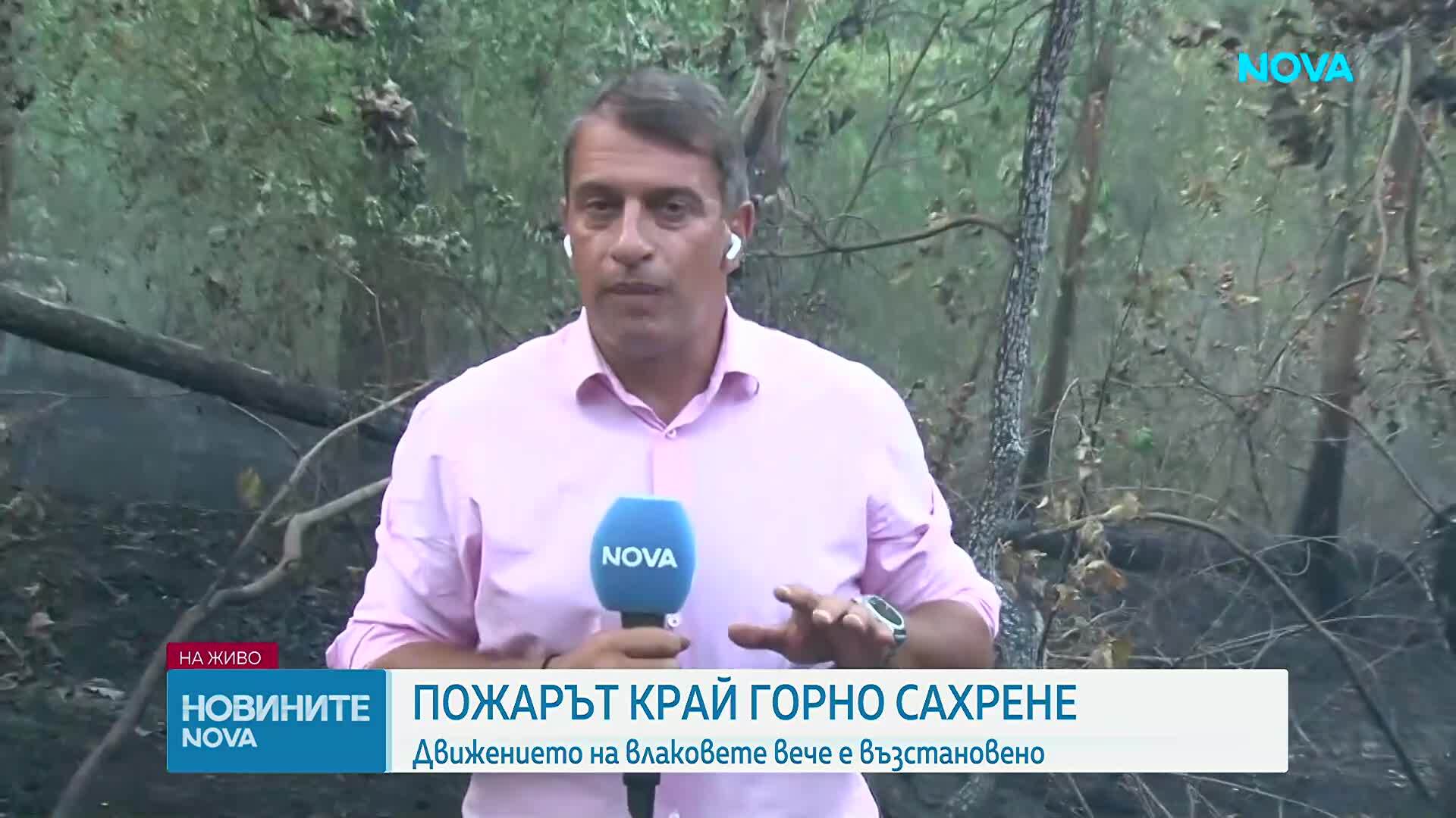 Голям пожар обхвана борова гора край язовир „Копринка”