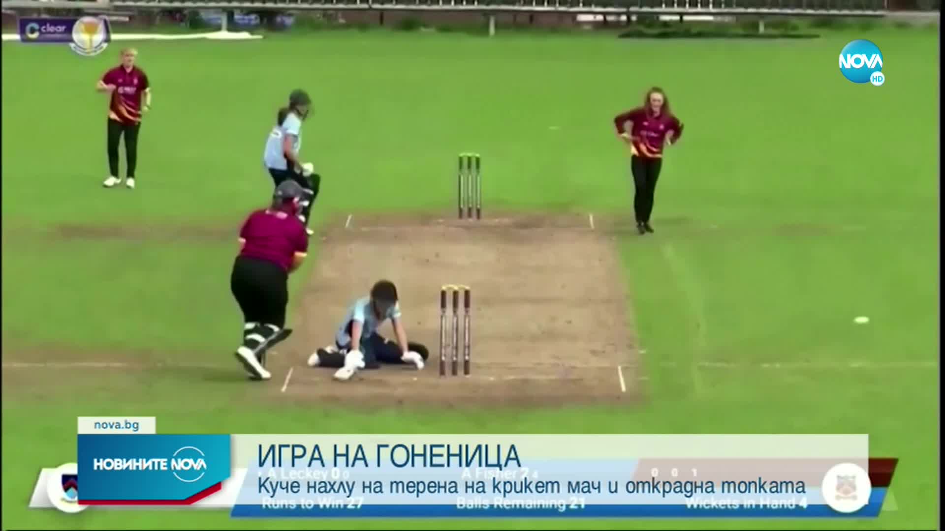Куче нахлу на терена по време на крикет мач в Ирландия (ВИДЕО)