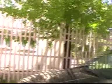 Дали децата могат да спят?