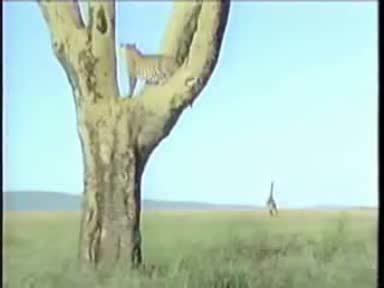 Как се хваща закуска