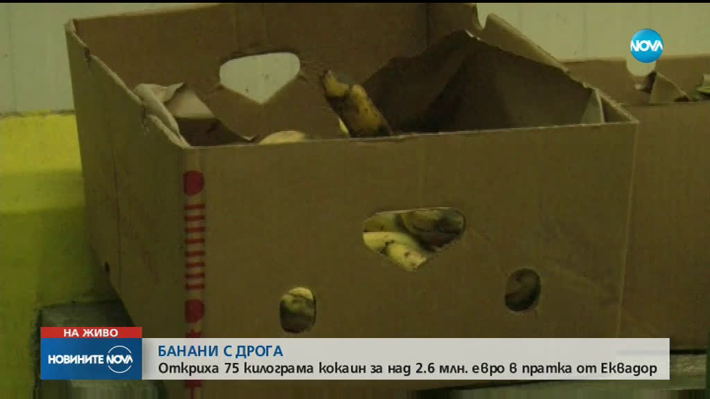 Откриха голямо количество кокаин в склад за плодове в Бургас