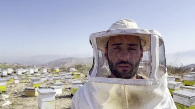 ЖИВОТЪТ НА ЕДИН ПЧЕЛАР: Вижте мъжа, отдал се на производството на мед (ВИДЕО)