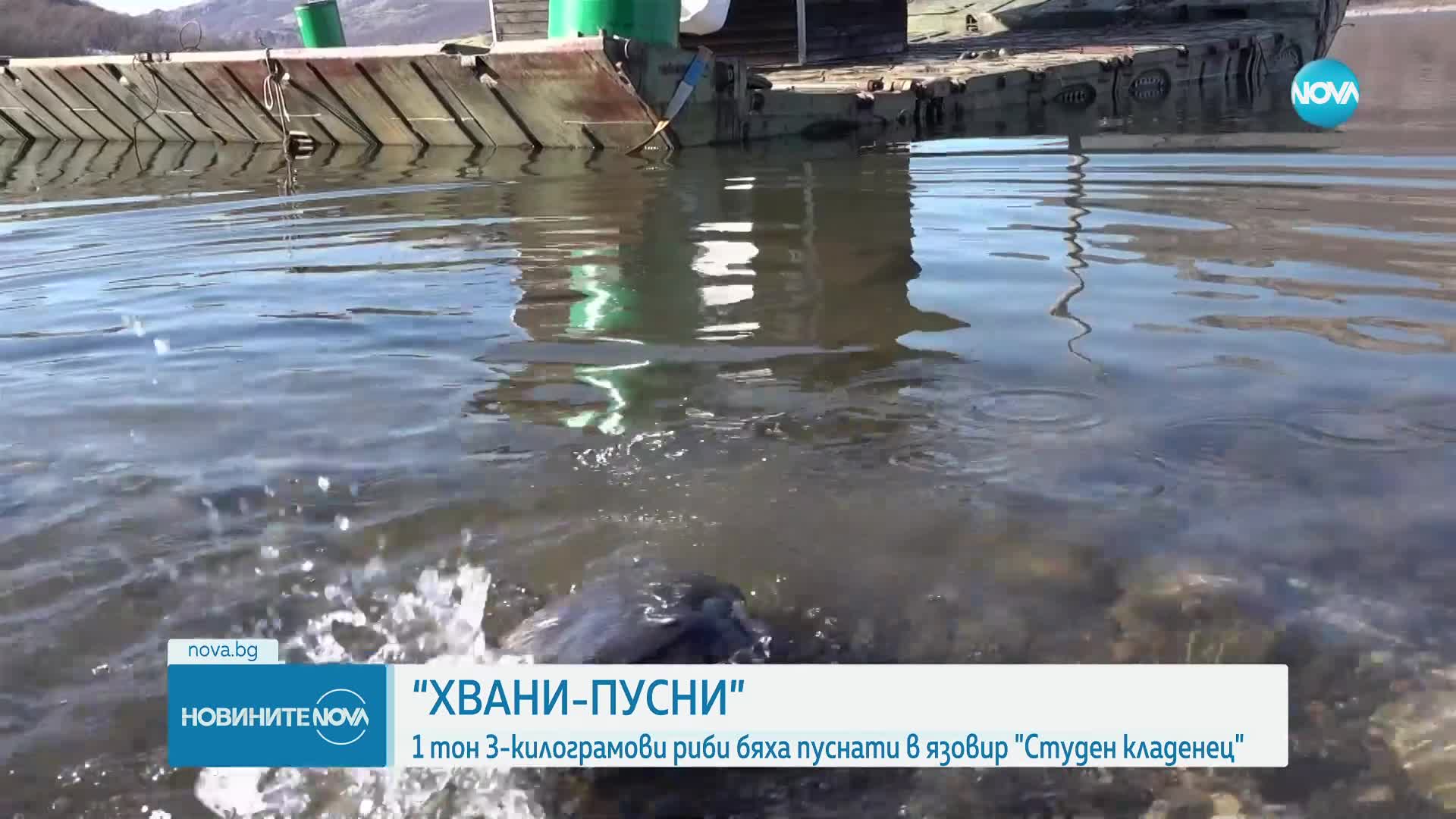“Хвани-пусни”- новата идея на Съюза на ловците и риболовците в България