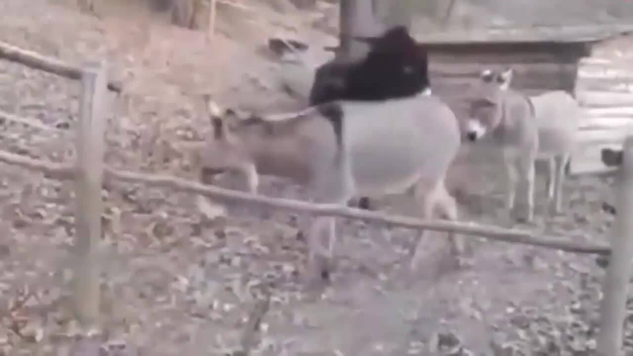 Компилация Like A Boss Еп.4