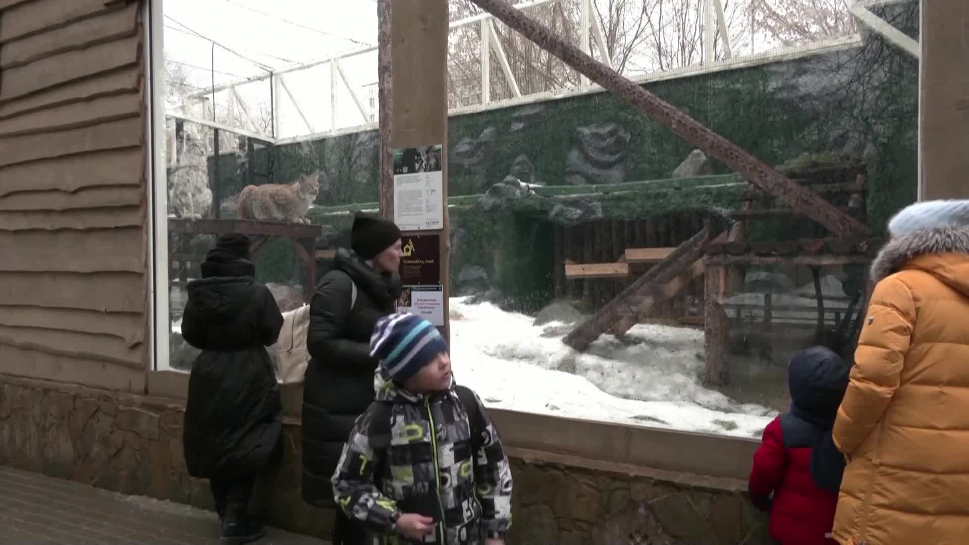 Зарадваха пандите в Московския зоопарк с любимите им лакомства (ВИДЕО)